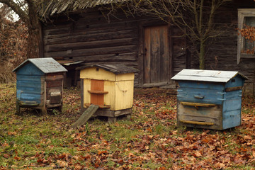 Bee hives in autumn season.