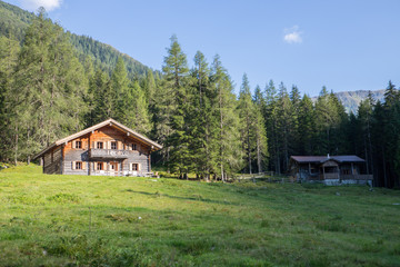 Fototapeta premium Hölzerne Almhütte, Wiese, Wald und Berge in der Abendsonne