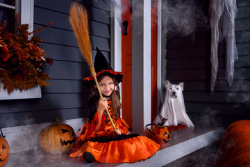Young funny girl child kid in halloween orange costume and broom playing outdoor with spooky lantern jack pumpkins with scary faces and west highland white terrier dog as ghost ready for Halloween