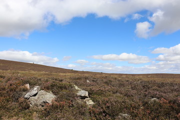 Rocks on moors under blue sky with fluffy clouds