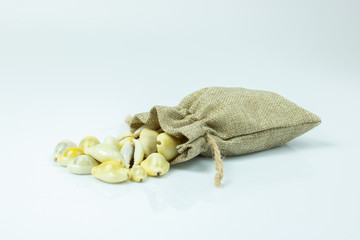  Money cowry in a sack on white background