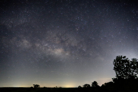 Milky Way and silhouette tree view.