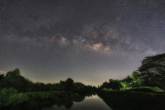 Milky Way and silhouette tree of canal view.