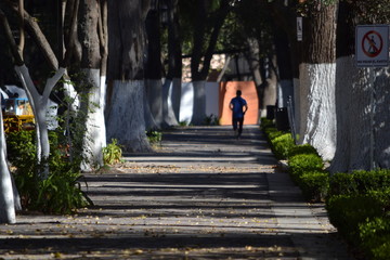 Caminando