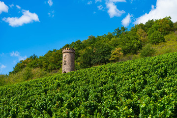 Ajaxturm, Weinbergsturm, sightseeing rheinhessen