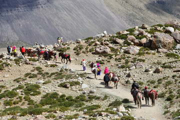 Dorchen, Tibet, China. People with a horse  making parikrama around Kailas in Tibet