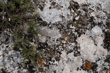 Limestone, granite texture, background 