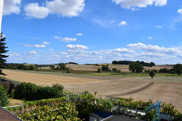 Thürer Wiesen im August