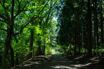 小根山森林公園