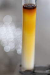 Column chromatography chemistry in the lab.