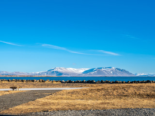 Nature landscape view of Akranes town, Iceland