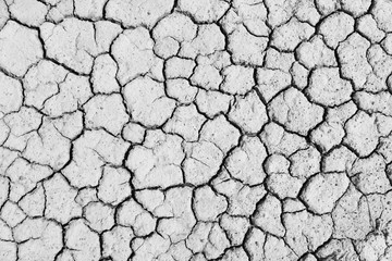 Black and white image of crack soil texture background