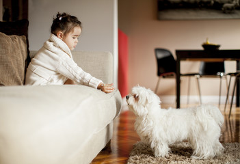 Little girl playing with white dog in the room