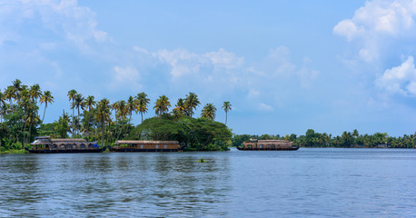 Obraz premium Panoramic river view and traditional house boat in Kerala's Backwaters, India.