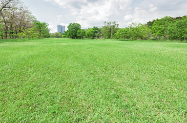 Green grass field in park at city center