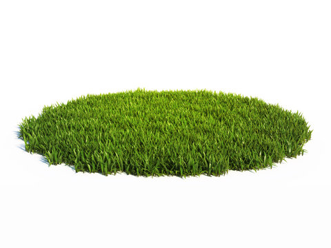 Small round surface covered with grass, grass podium, lawn background 3d rendering