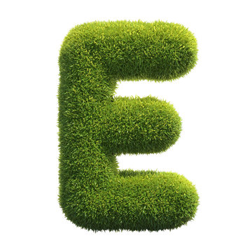 Grass font 3d rendering letter E