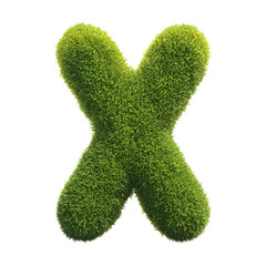 Grass font 3d rendering letter X