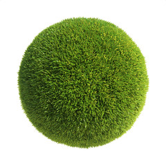 Spherichal shape covered with grass, grass ball 3d rendering