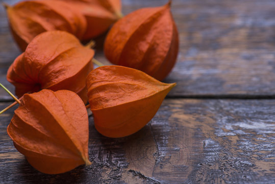 Close-up of orange physalis on a wooden background.