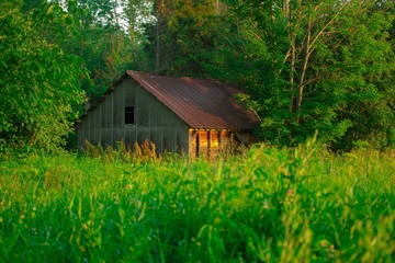 Old Barn In Morning Light