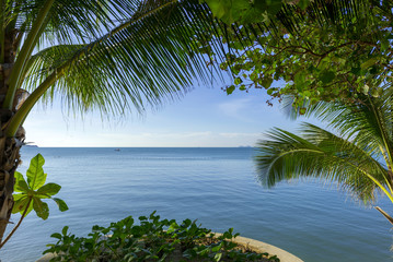 Fototapeta na wymiar Palme am Maenam beach auf Koh Samui, Thailand