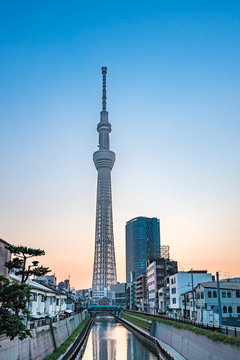 TOKYO, JAPAN - June 22, 2018: Tokyo Sky Tree, sunset and blue sky. Tokyo Sky Tree is one of the famous landmark in Tokyo. It is the tallest structure in world when built.
