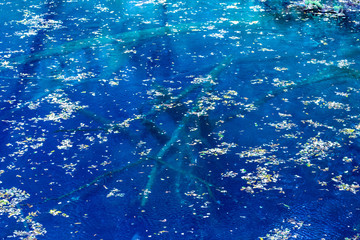 青森 十二湖 白神山地