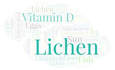 Obraz premium Lichen word cloud.