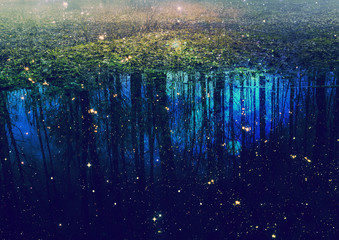 Trees reflection with stars