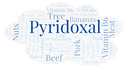 Pyridoxal word cloud.