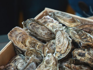 Oysters on the counter in wooden boxes on the market. Oysters for sale at the seafood market. Fish...