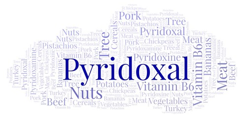 Obraz premium Pyridoxal word cloud.