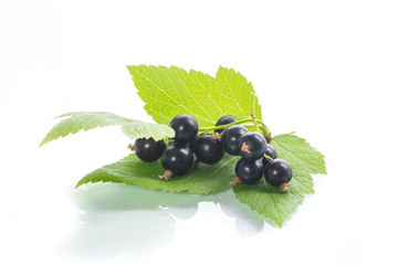 ripe berries black currant on white background