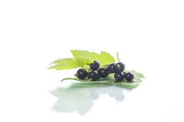 ripe berries black currant on white background
