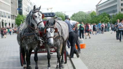 horse coach at Brandenburg Gate (Brandenburger Tor) in Berlin, Germany