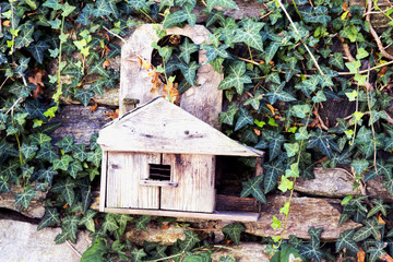 Birds wooden house