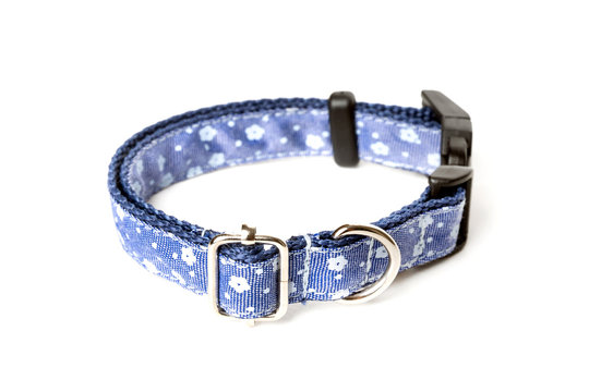 Blue dog collar