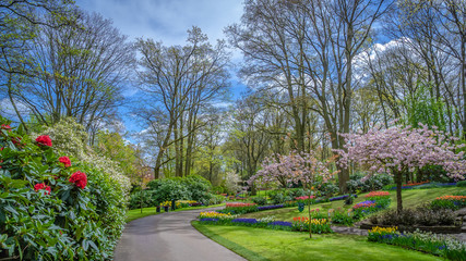 Walking Street With Fresh Flower Garden