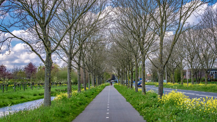 Fototapeta na wymiar Walking Street With Natural View In Public Park