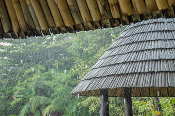 The rainy season in the tropics with rain droplets. The rain drops from the roof of bamboo