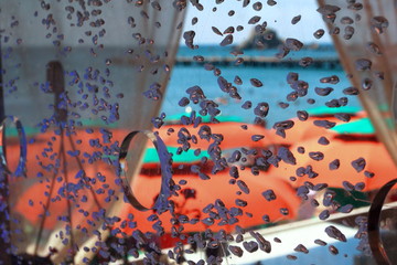 A view from the window of a cafe on the beach through a water wall with air bubbles. The image is blurry.