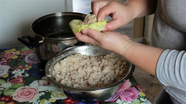dish cabbage leaves,Ukrainian woman is preparing a dish of cabbage and minced meat