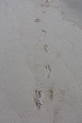 Footprints in the sand