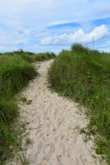 Fototapeta na wymiar Sand path to the beach