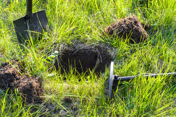 treasure excavation, metal detector and shovel on green grass