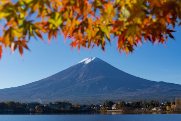 Autumn color red maple and Mount Fuji with morning at lake Kawaguchiko, Japan