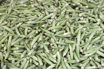 lots of okra as backround
