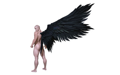 Obraz premium 3d Illustration Demon Wings, upierzenie czarne skrzydło na białym tle na białym tle ze ścieżką przycinającą.