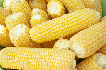 Fresh corn on cobs, closeup